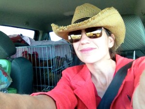 seatbelt selfie with chickens