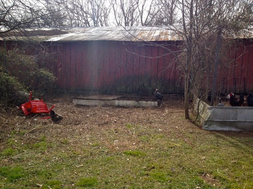 duck pen/3 sisters plot