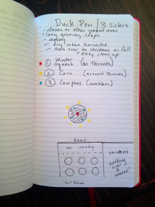 ideas for the "duck pen" or "3 sisters" plot