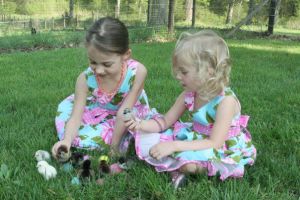 the farmhands and Easter chicks in 2012